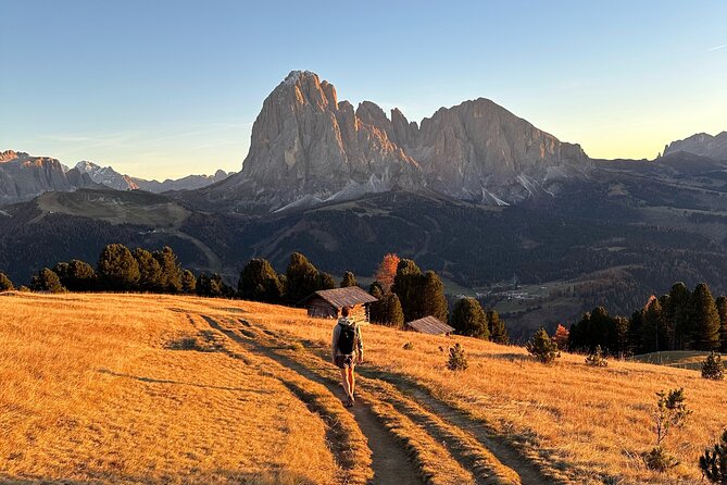 From Milan/Como/Varenna: Panoramic Hiking Tours near Lake Como - Who will enjoy this most?