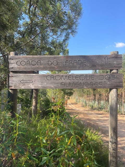 From Montemor or Évora: Guided Hike to Almendres Megalithic - Is $47 a good value?