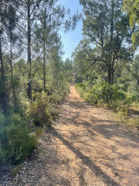 From Montemor or Évora: Guided Hike to Almendres Megalithic - Walking through Serra de Valverde