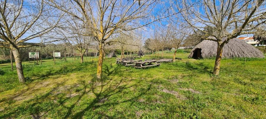 From Montemor or Évora: Guided Hike to Almendres Megalithic - Lunch in Valverde, with the bill separate