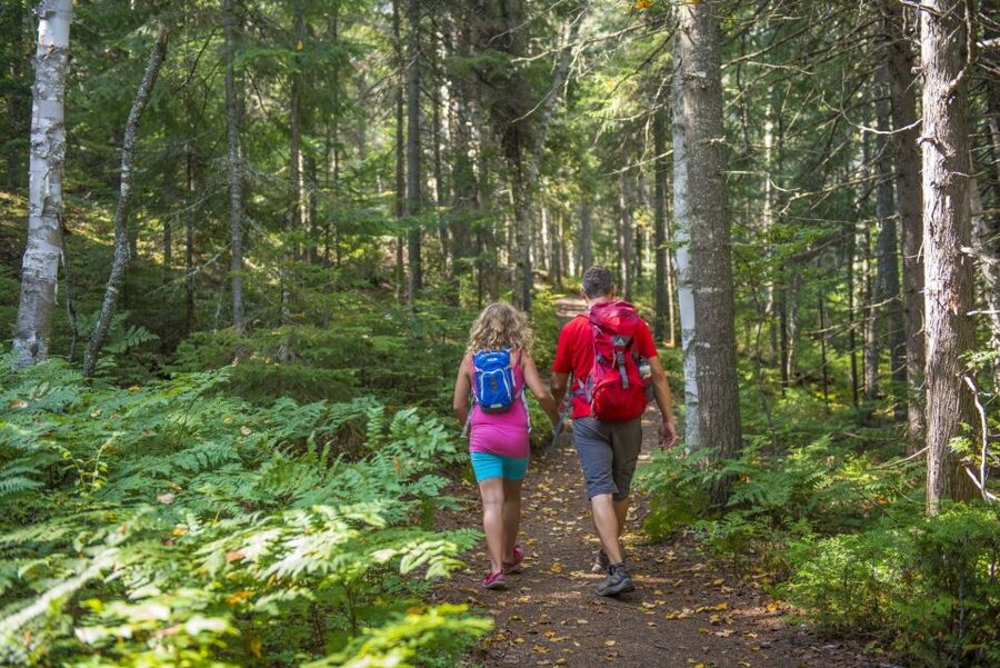 From Montreal: Mont-Tremblant National Park Hiking Day Trip - What to pack for a comfortable day