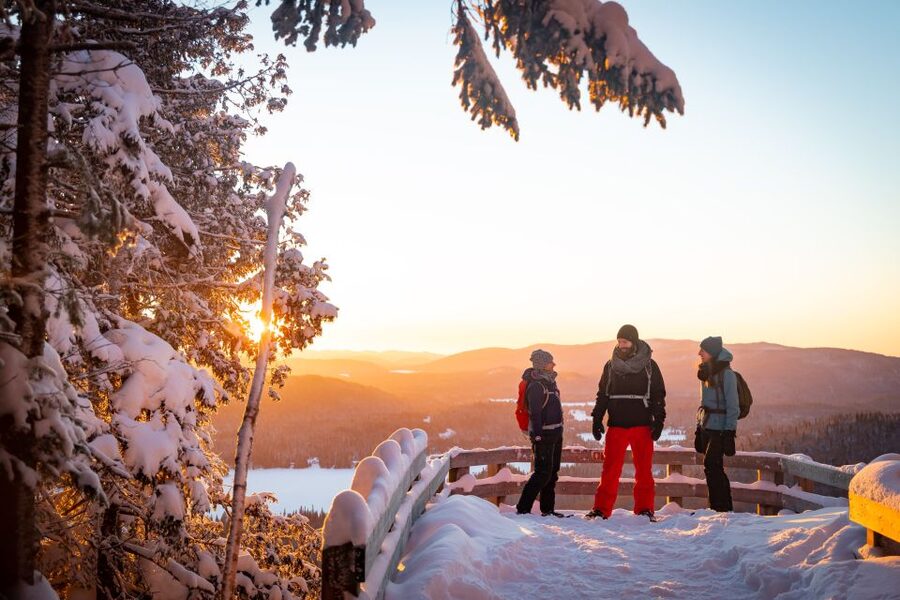 From Montreal: Mont-Tremblant National Park Hiking Day Trip - Forest trails, picnic time, and wildlife