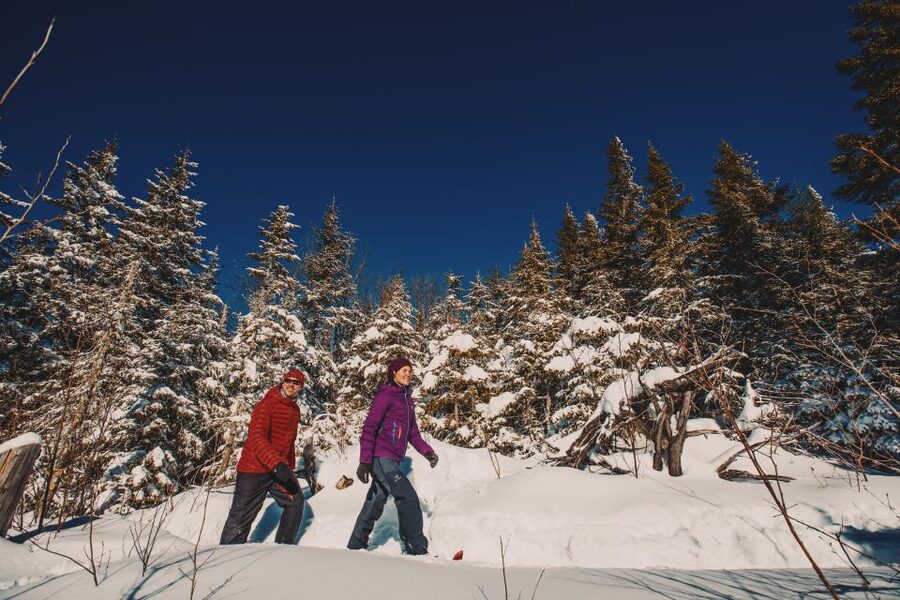 From Montreal: Mont-Tremblant National Park Hiking Day Trip - Who will enjoy this day trip most?