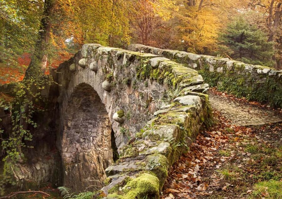 From Newcastle: Game of Thrones Tollymore Forest Trek - Is $13 good value?