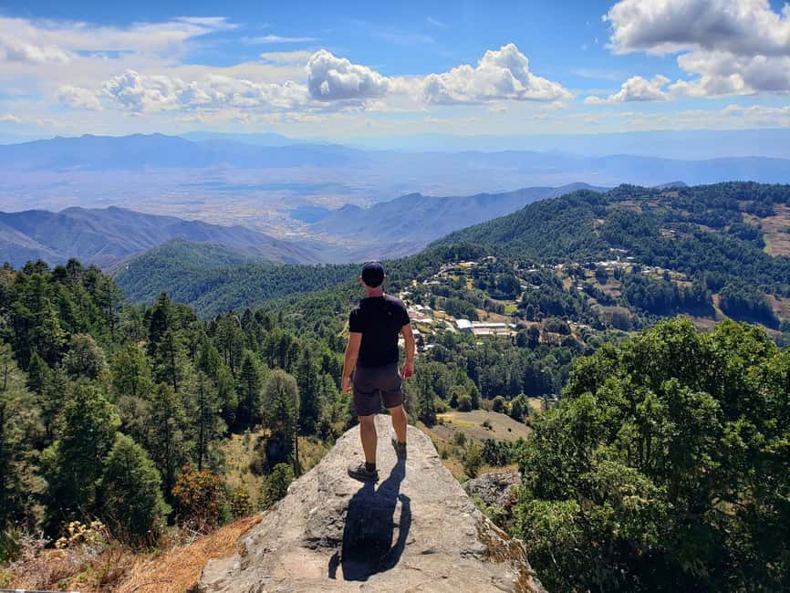 From Oaxaca: Sierra Norte Hike & Indigenous Village Full-Day - Into the cloud forest near 3,150 meters