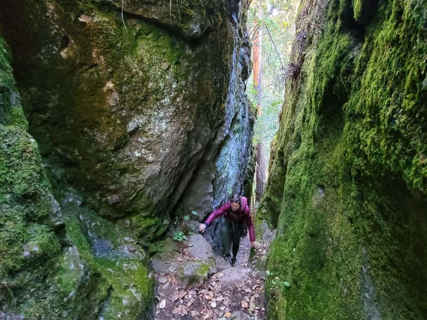 From Oaxaca: Sierra Norte Hike & Indigenous Village Full-Day - The optional 100-meter suspension bridge