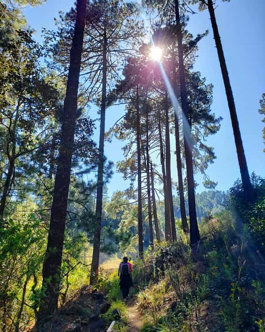 From Oaxaca: Sierra Norte Hike & Indigenous Village Full-Day - The return to Oaxaca City