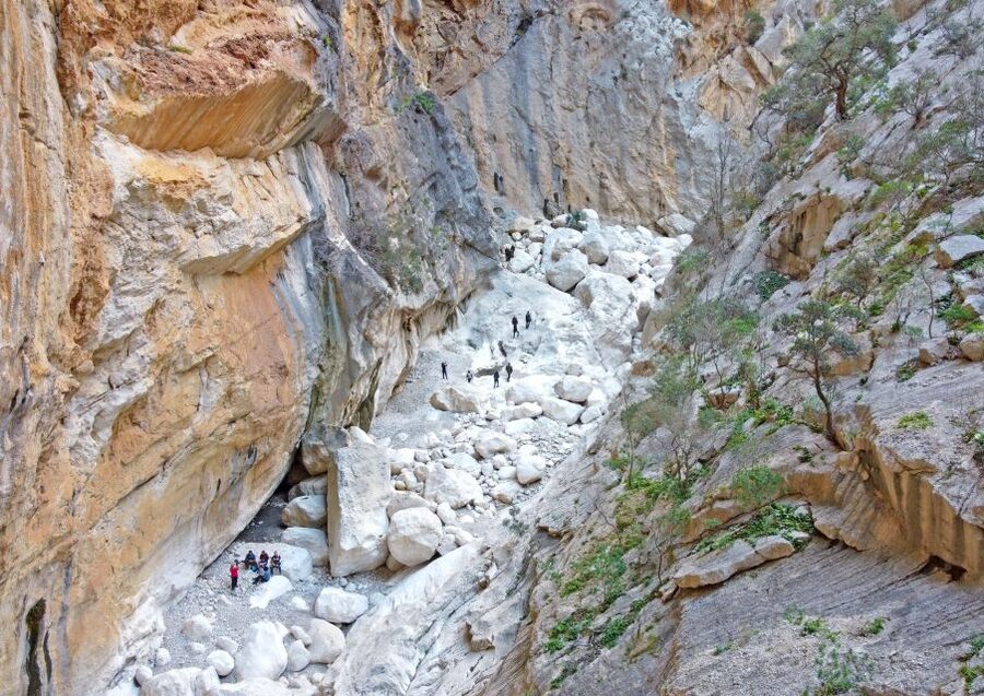 From Orosei or Dorgali: Trek to Gorropu with Panoramic Views - Heat, water, and the practical challenge