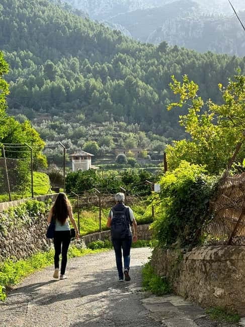 From Palma: Sierra de Tramuntana Hiking with small Picnic - Choosing your section of the GR221