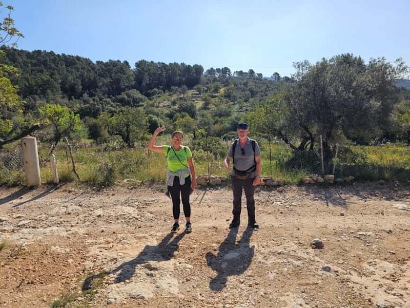 From Palma: Sierra de Tramuntana Hiking with small Picnic - Stone walls, terraces, and old olive trees