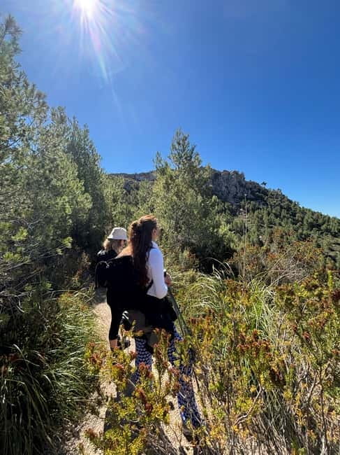 From Palma: Sierra de Tramuntana Hiking with small Picnic - Heat, weather, and the summer beach option