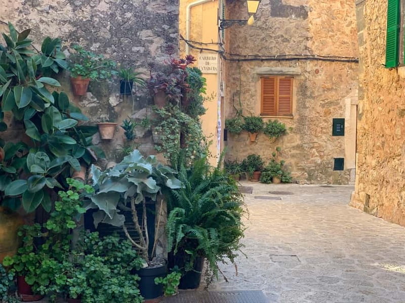 From Palma: Valldemossa Tour and Mountain Viewpoint Hike - Key points at a glance