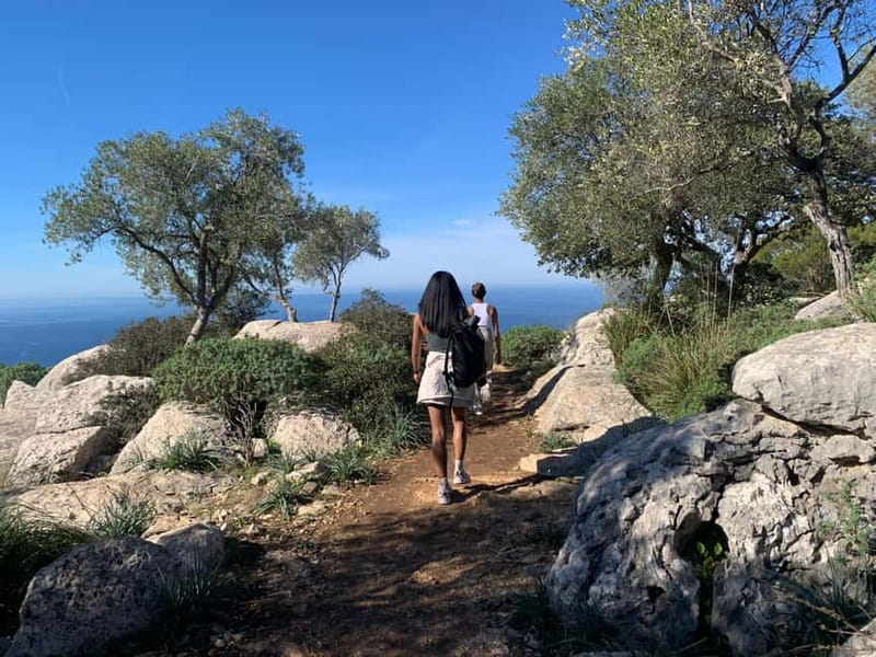 From Palma: Valldemossa Tour and Mountain Viewpoint Hike - Leaving Palma for the Tramuntana mountains