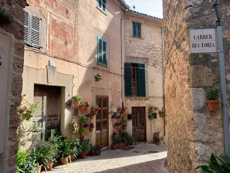From Palma: Valldemossa Tour and Mountain Viewpoint Hike - Why the small group changes the day