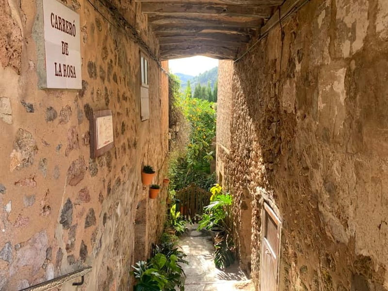 From Palma: Valldemossa Tour and Mountain Viewpoint Hike - Is $105 a fair price?