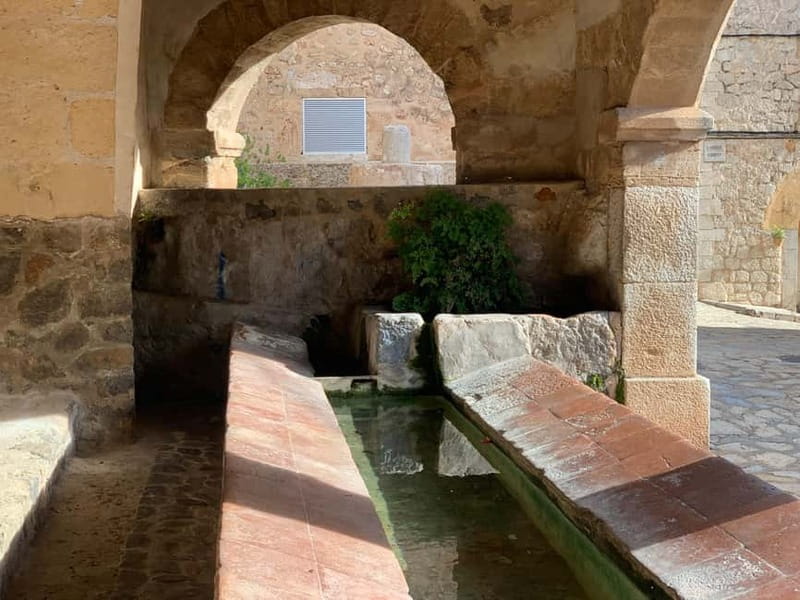 From Palma: Valldemossa Tour and Mountain Viewpoint Hike - Should you book the Valldemossa hike?