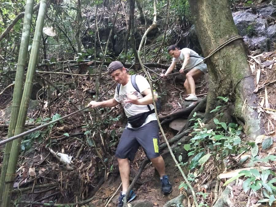 From Phuket: Guided Rainforest Hike with Lunch - Key points to know before you book