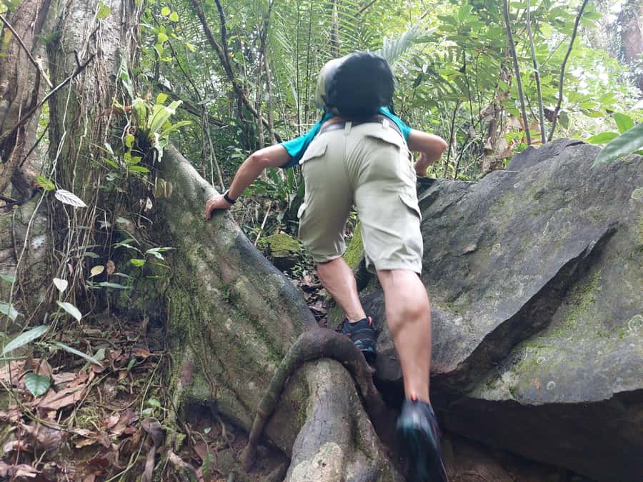From Phuket: Guided Rainforest Hike with Lunch - Tonsai Waterfall and the first three hours