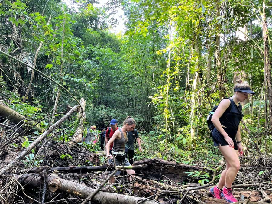 From Phuket: Guided Rainforest Hike with Lunch - Cooling off under the waterfall
