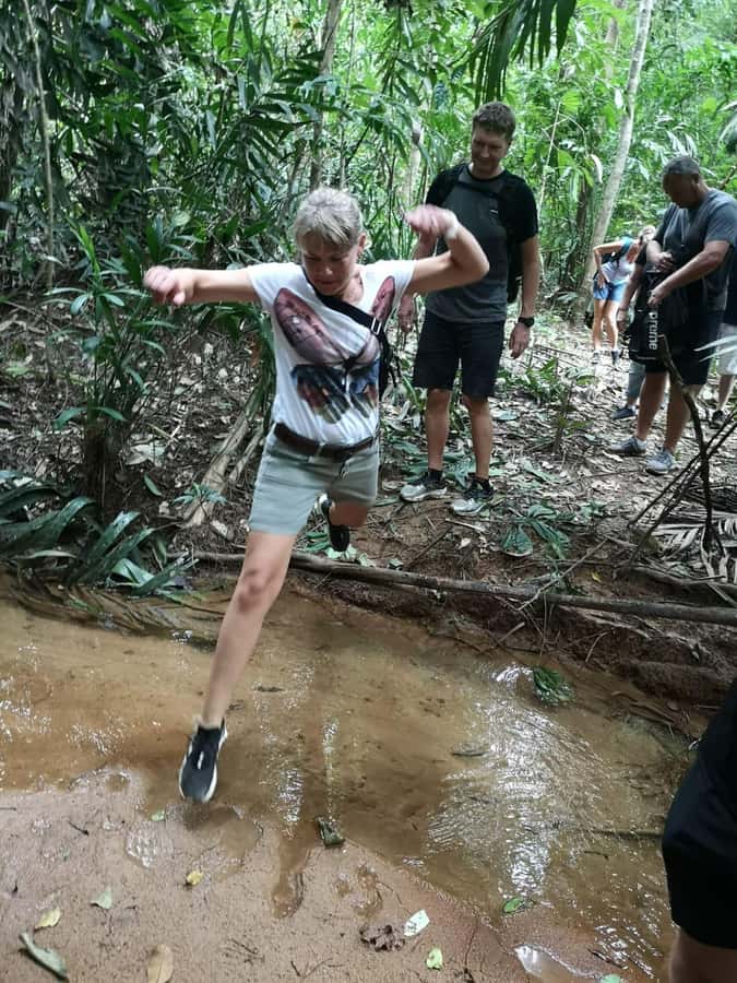 From Phuket: Guided Rainforest Hike with Lunch - Thai lunch after the hike