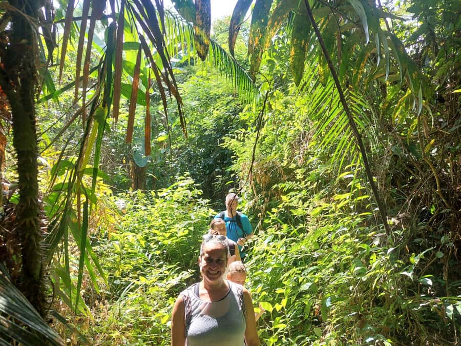 From Phuket: Guided Rainforest Hike with Lunch - The guides are a major part of the value