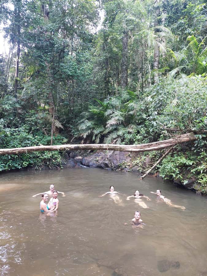 From Phuket: Guided Rainforest Hike with Lunch - Is $77 a fair price?