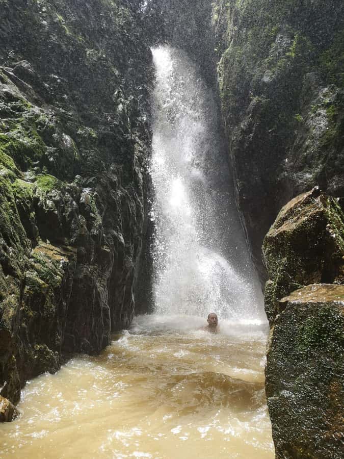 From Phuket: Guided Rainforest Hike with Lunch - Pickup from Phuket’s main beaches