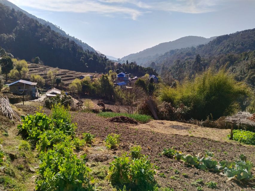 From Pokhara: 10-Day Poon Hill and Annapurna Base Camp Trek - Day 7: Deurali to Annapurna Base Camp at 4,130 meters