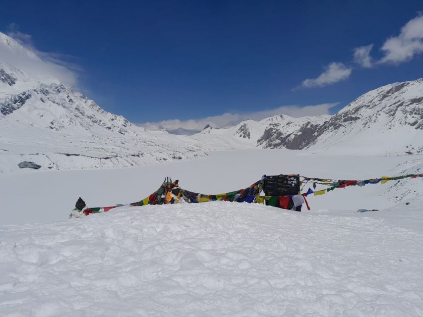 From Pokhara: 10-Day Poon Hill and Annapurna Base Camp Trek - Day 8: Sunrise at base camp and the long return to Bamboo