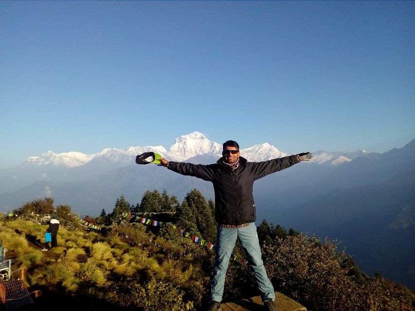 From Pokhara: Budget 2 Night 3 days Poon hill trek - Tadapani to Ghorepani through rhododendron country