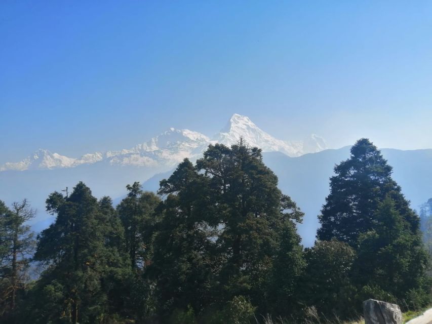 From Pokhara: Budget 2 Night 3 days Poon hill trek - Is $179 good value?