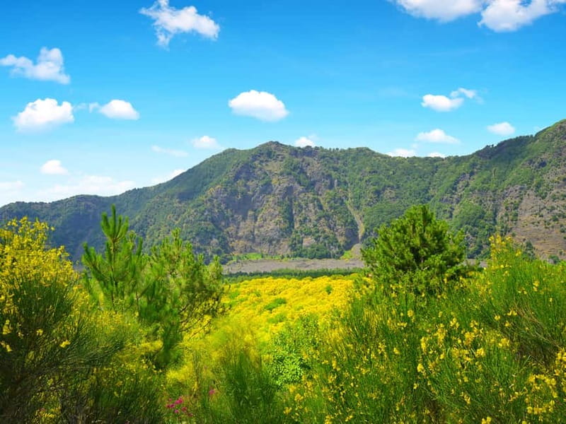 From Pompeii: Mount Vesuvius Hike & Tour by Bus - Key points to know before you book