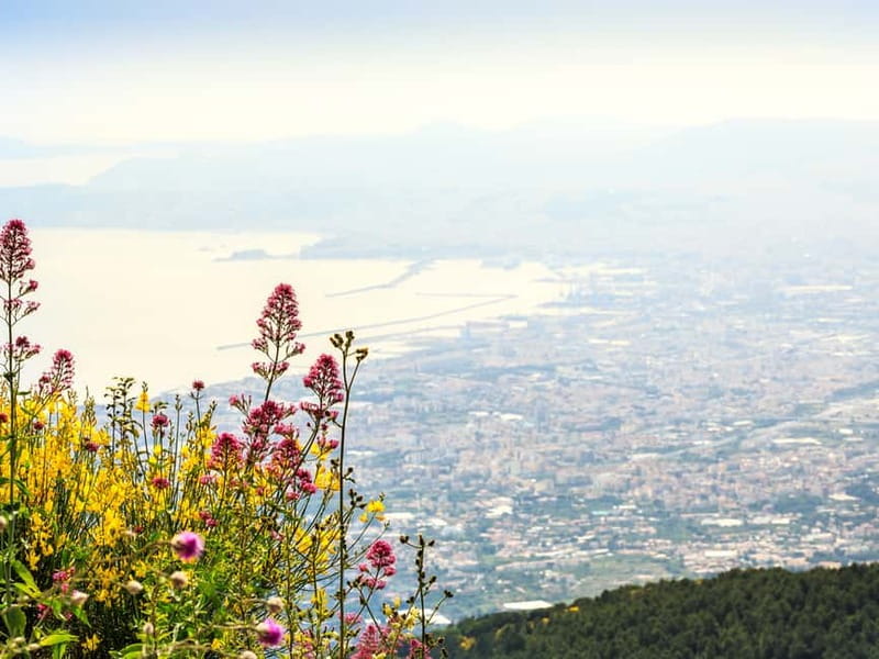 From Pompeii: Mount Vesuvius Hike & Tour by Bus - Why this short Vesuvius trip works