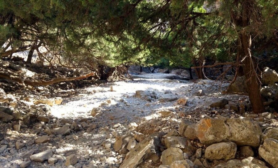 From Rethymno/Chania: Imbros Gorge Hike - Key points before you book