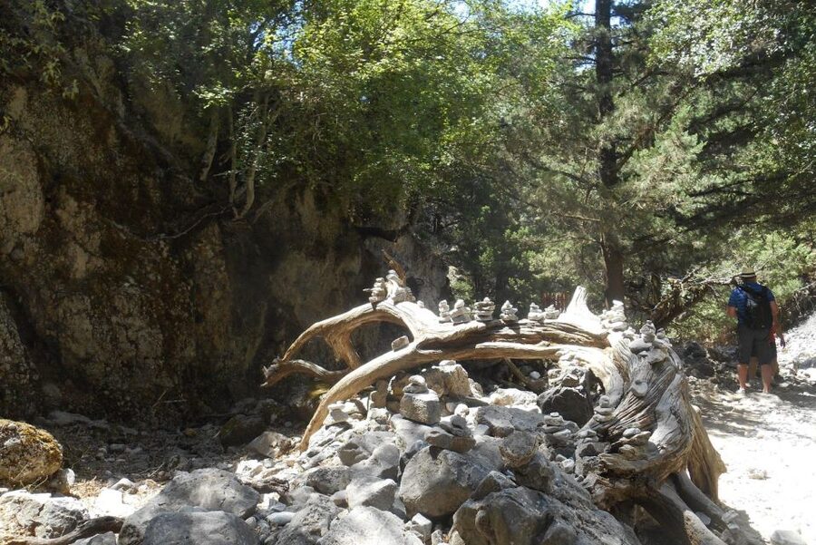From Rethymno/Chania: Imbros Gorge Hike - Why Imbros Gorge is a smart alternative to Samaria