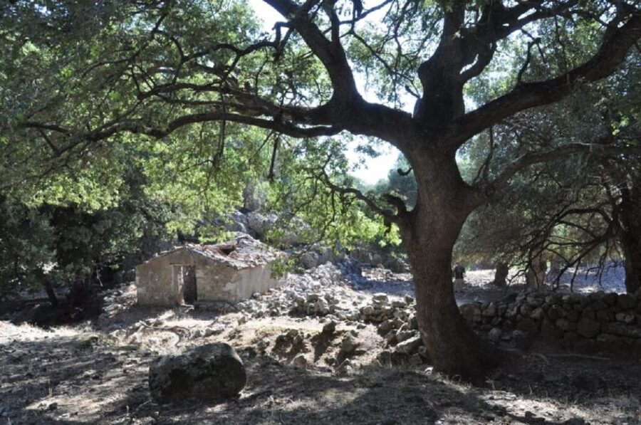 From Rethymno/Chania: Imbros Gorge Hike - Chora Sfakion, lunch, and the Libyan Sea