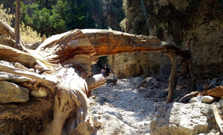 From Rethymno/Chania: Imbros Gorge Hike - Guides, drivers, and how much help to expect