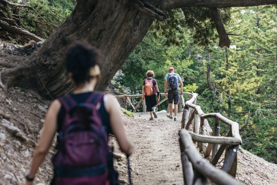 From Rethymno: Samaria Gorge Full-Day Trek, Pickup & Guide - What you see inside the gorge