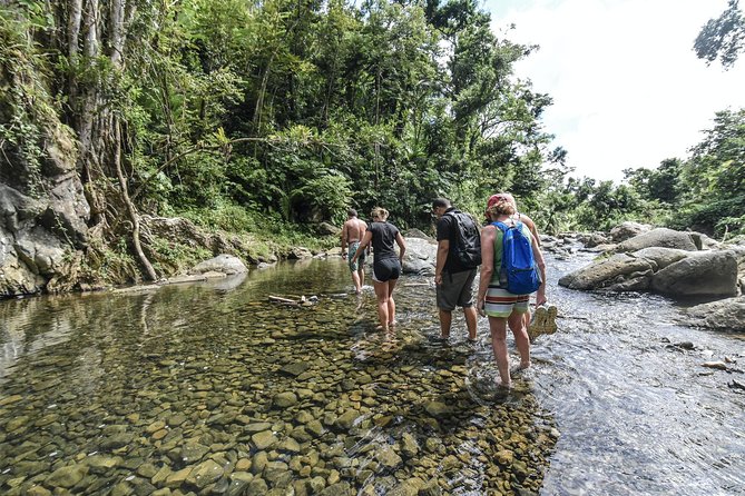 From San Juan: El Yunque Rainforest Hiking Adventure - What the $93 price really buys you