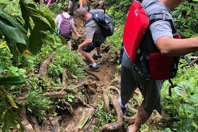 From San Juan: El Yunque Rainforest Hiking Adventure - Who should skip this experience