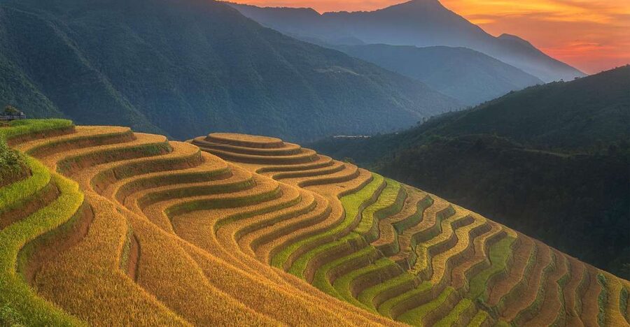 From Sapa: 1-Day Guided Trek to Lao Chai & Ta Van with Lunch - Starting in Sapa between 9:00 and 9:30