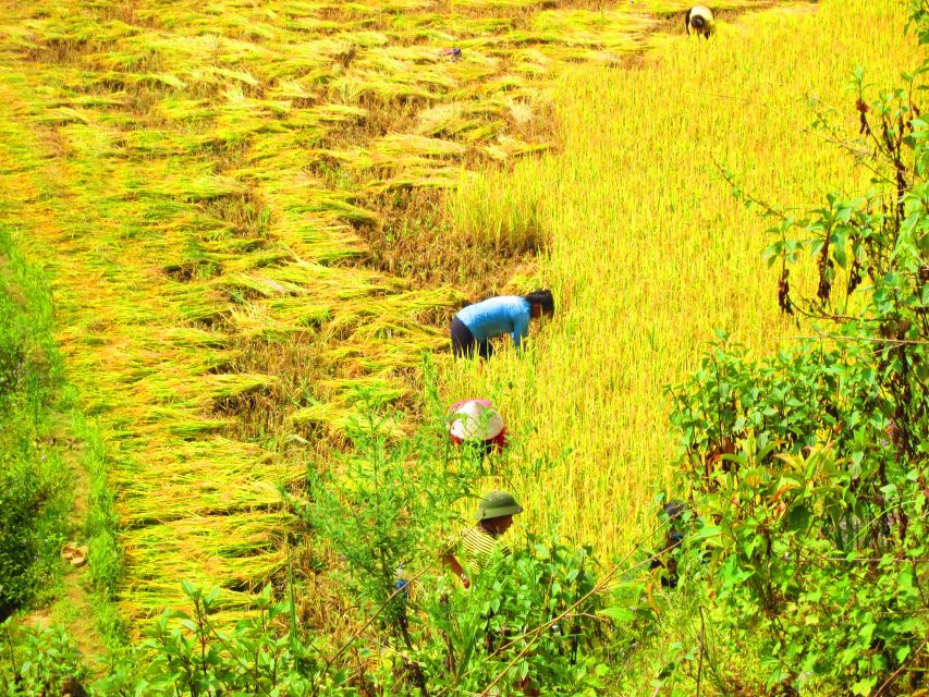 From Sapa: Waterfalls, Trekking and Tribal Villages Tour - Meeting Hmong and Red Dzao communities