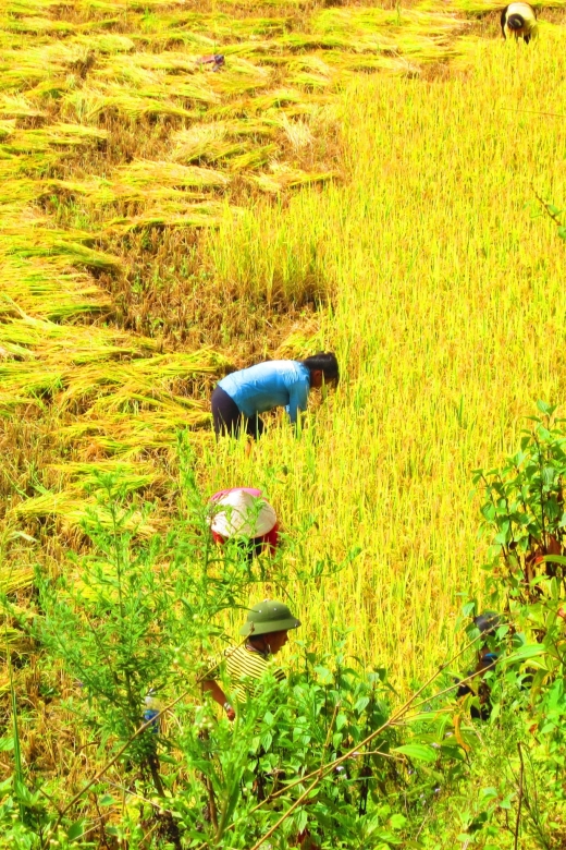 From Sapa: Waterfalls, Trekking and Tribal Villages Tour - Silver Waterfall, Love Waterfall, and Tram Ton Pass