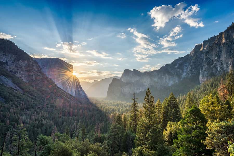 From SF: Yosemite Day Trip with Giant Sequoias Hike & Pickup - Half Dome and Yosemite Falls anchor the valley visit