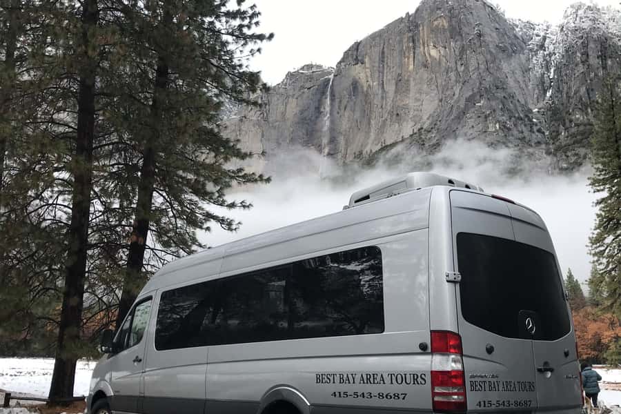 From SF: Yosemite Day Trip with Giant Sequoias Hike & Pickup - The Tuolumne Grove hike is the tour’s special extra