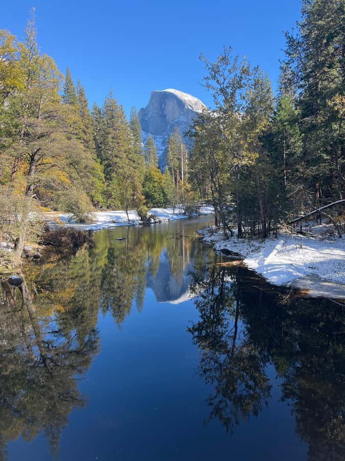 From SF: Yosemite Day Trip with Giant Sequoias Hike & Pickup - What the guides add to the experience