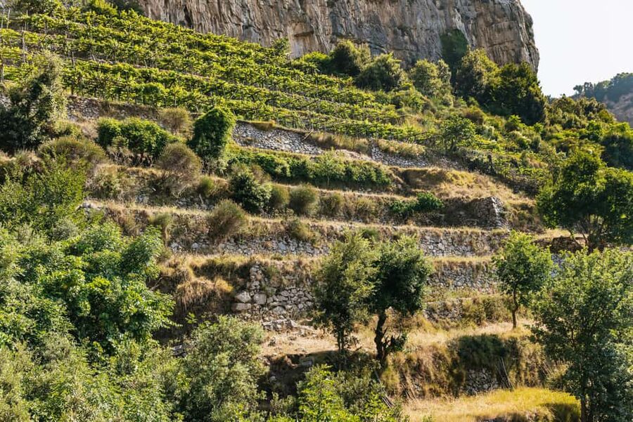 From Sorrento: Path of the Gods Guided Hike with Transfers - What to bring for comfort and safety