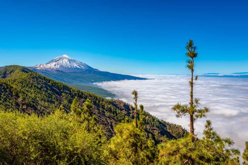 From South Tenerife: Mount Teide Hiking Day Trip & Cable Car - The last 170 meters to the crater
