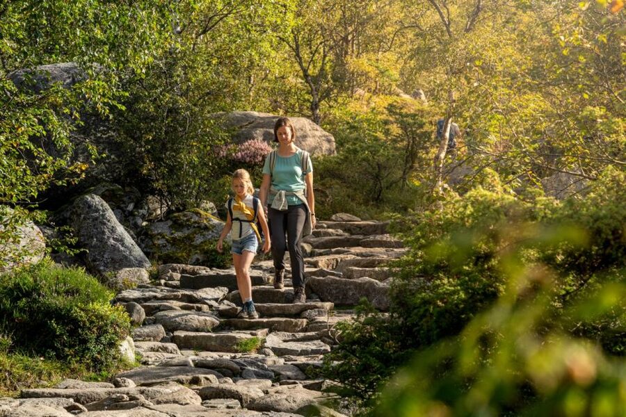 From Stavanger: Pulpit Rock Guided Hike with Pickup - What the $145 price really covers