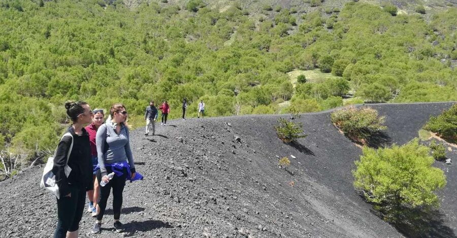 From Taormina: Half-Day Mount Etna Morning Trek - Key things to know before booking